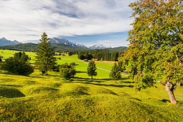 Buckelwiesen, Krün, Wettersteingebirge, Mittenwald, Bayern, Deutschland