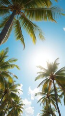 Sun-drenched coconut palms sway against a vibrant blue sky, summer,horizon,coconuts