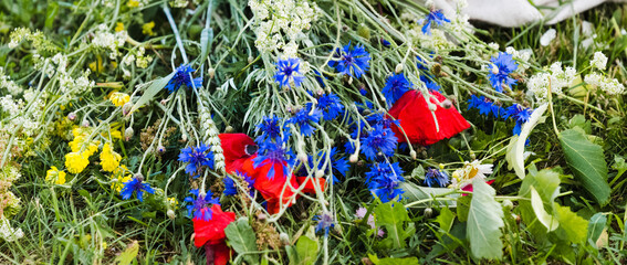 Fototapeta premium Red poppies and blue cornflowers are laid on the ground in the grass; selective focus on flowers; flowers for a summer solstice wreath.
