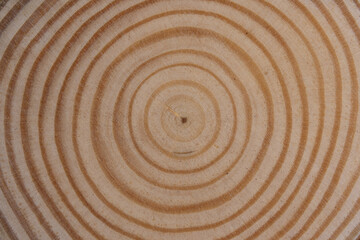 Closeup View of Circular Wood Pattern