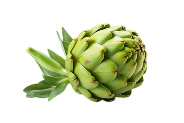 Natural artichoke with a fresh, vibrant appearance. isolated on white background or png background or transparent background.