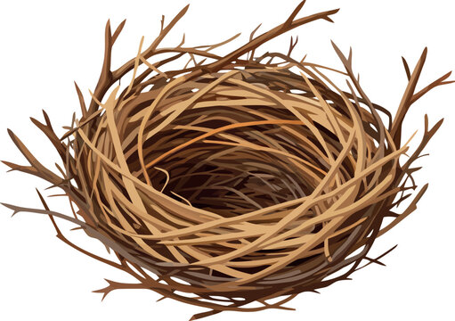 Empty bird nest waiting for eggs on white background