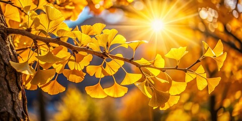 Golden Ginkgo Leaves Autumn Tree Photography, Yellow Ginkgo Biloba Fall Foliage, Nature Scene Image