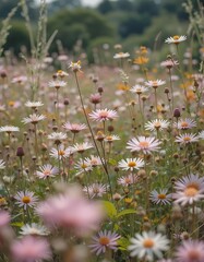 A field of wildflowers swaying in the breeze 