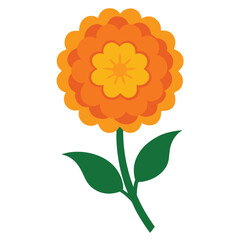 orange flower isolated on white background