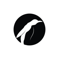penguin logo vector illustration template design