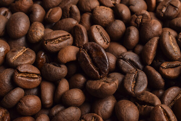 Close up of roasted Robusta Coffee beans