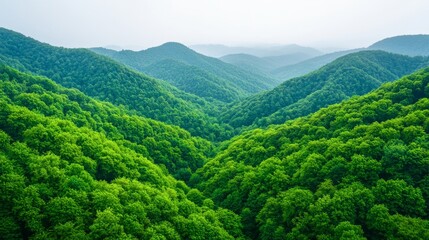 Fototapeta premium climate change global warming reforestation concept. Lush green mountains under a misty sky create a serene landscape.