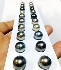 Assorted Black Tahitian Pearls on Display for Jewelry Selection