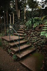 A set of stone stairs winds upward through a vibrant garden filled with ferns and native plants....