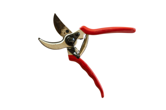 Close-up of pruning shears isolated on a white background. High-quality gardening tool with sharp blades, ideal for cutting branches and plants.