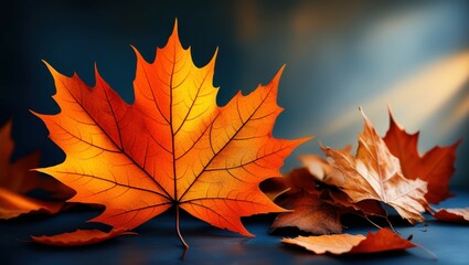 autumn leaves, vibrant orange and red, maple leaves, dark background, dramatic lighting, close-up photography, shallow depth of field, high contrast, moody atmosphere, detailed leaf textures, seasonal