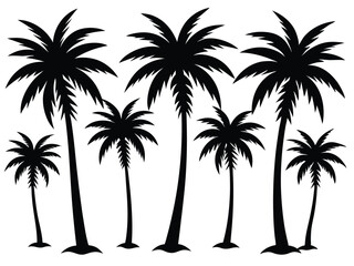 Palm Tree Silhouettes Set - Black and White Minimalist Palm Icons.