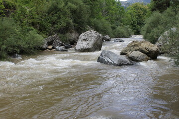 Paisajes Estacion de Canfranc - 2024 - 140