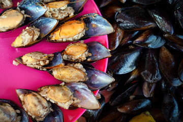 Traditional Turkish Street Food Mussels Prepared with Rice