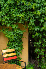Wooden tables and chairs. Interior of the cafe. interior Street cafe. Cozy street with flowers and French-style cafe table. Decor facade of coffeehouse.