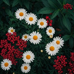 A dark, floral pattern featuring white daisies, small red flowers, and green leaves, A rich, velvety black background is adorned with a profusion of delicate white daisies and vibrant red blossoms.
