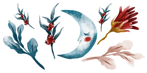 Seamless botanical pattern. Various herbs and flowers, hand-drawn. Vintage vector illustration of flowers. A colorful banner. An idea for wallpaper and textiles. A linear drawing. A botanical set.