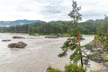 Manzherok rapids (or Manzheroksky thresholds or Manzheroksky barriers) on the Katun River....