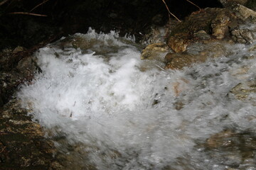 Paisajes Estacion de Canfranc - 2024 - 234