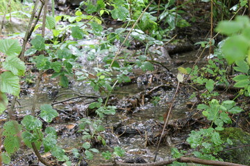 Paisajes Estacion de Canfranc - 2024 - 192
