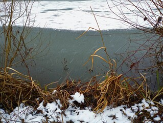 Background on the shore of a frozen lake in winter. Winter texture of the surface of frozen water and reeds near the shore sprinkled with snow. White cold snow on the surface of the ice of the pond.