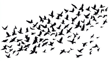 Naklejka premium A Flock of Birds in Flight: A Silhouette of Freedom and Unity