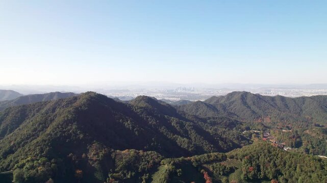 Drone flight over Long Jin tea mountain at Hangzhou, Zhejiang province, China. Flying aerial view of beautiful tea plantation, Longjin village and Hangzhou cityscape, 4k real time footage.