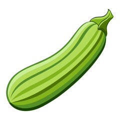 Fresh green zucchini vegetable vector illustration