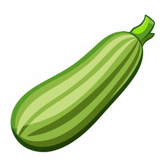 Fresh green zucchini vegetable vector illustration