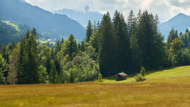 Blick von der M&uuml;llers Alpe auf die umliegenden Alpen, Oberstdorf, Allg&auml;u, Bayern, Deutschland 