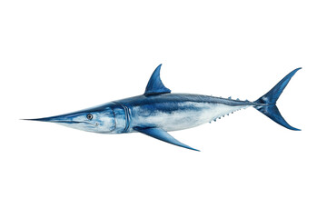 Obraz premium A sleek, blue fish with a long, pointed snout and prominent fins, showcasing its streamlined body and predatory nature.