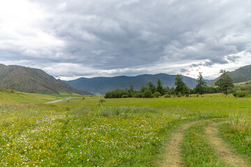 Beautiful landscape of the Altai mountains. Chuisky tract, Altai republic, Russia