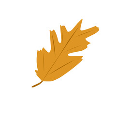 Autumn leaf illustration. Autumn leaf illustration leaves falling in autumn time 