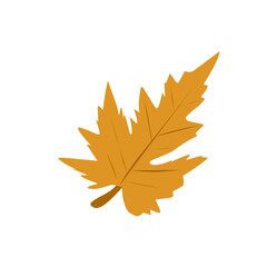 Obraz premium Autumn leaf illustration. Autumn leaf illustration leaves falling in autumn time 