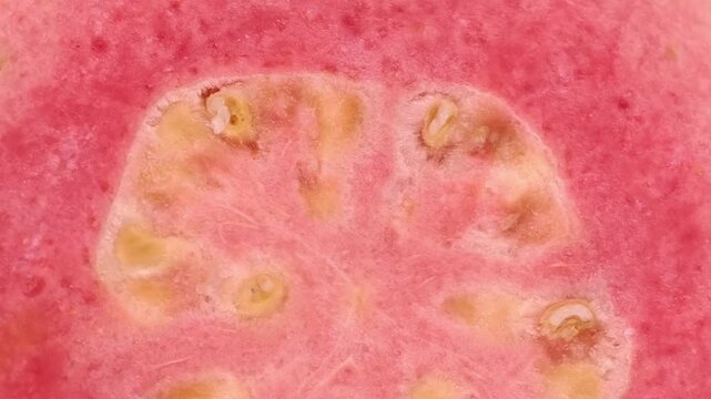 Close-up of pink guava
