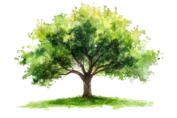 A vibrant green tree with a thick trunk and lush foliage, depicted in a watercolor style.