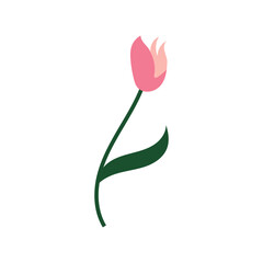tulips logo vector film icon illustration template design