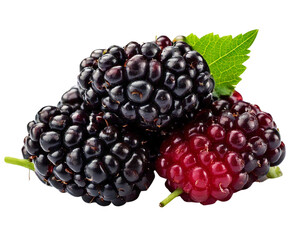 Mulberry Fruit, Isolated on Transparent Background