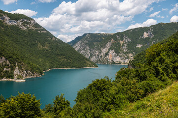 Obraz premium Tara national park 1