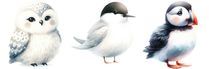 Naklejka premium Cute cartoon birds including owl, tern, and puffin, showcasing their unique features and colors