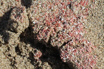 CRETE ISLAND, GREECE. Falassarna beach on the northwest of Chania prefecture.