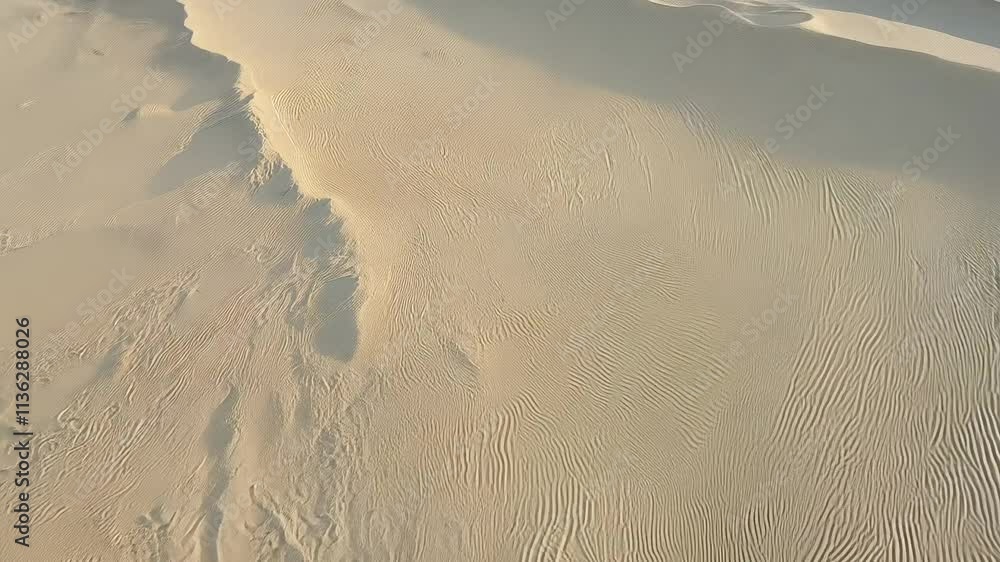 Poster this video documents a tidal sand pattern texture featuring beige and gray tones with evolving rippl