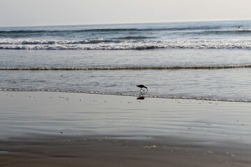 Strand Kalifornien