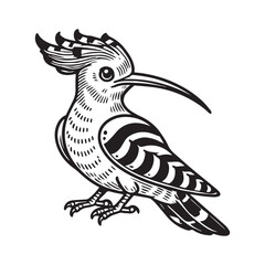 Obraz premium Hoopoe outline vector art black color white background.