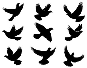 Silhouettes of Birds in Flight with Dynamic Wing Positions