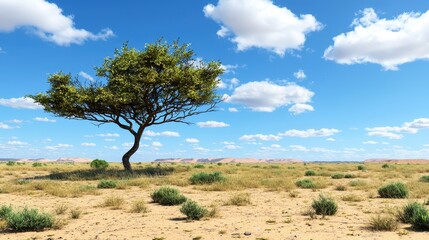 Obraz premium Solitary Tree in Desert Landscape under Bright Blue Sky with Clouds