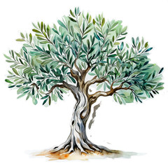 Watercolor Olive Tree