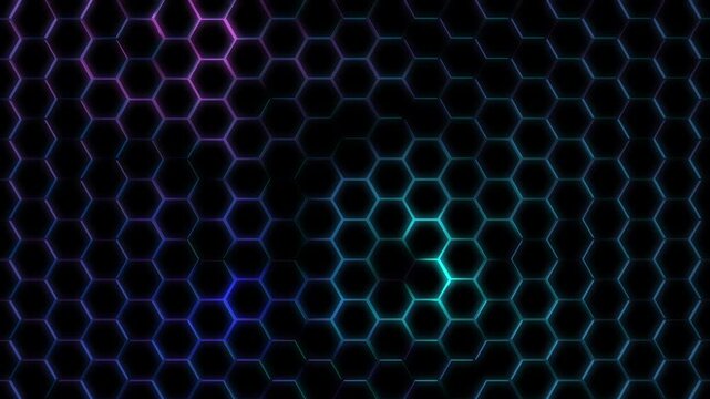 plan fixe arri&egrave;re plan pour usage graphique avec des animations color&eacute;es sur des alv&eacute;oles , pour montages vid&eacute;os vari&eacute;s, sortie vid&eacute;o avec fondu au noir