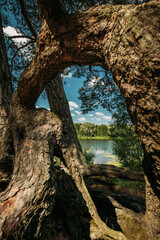 Fototapety na wymiar - Fototapeta24.pl